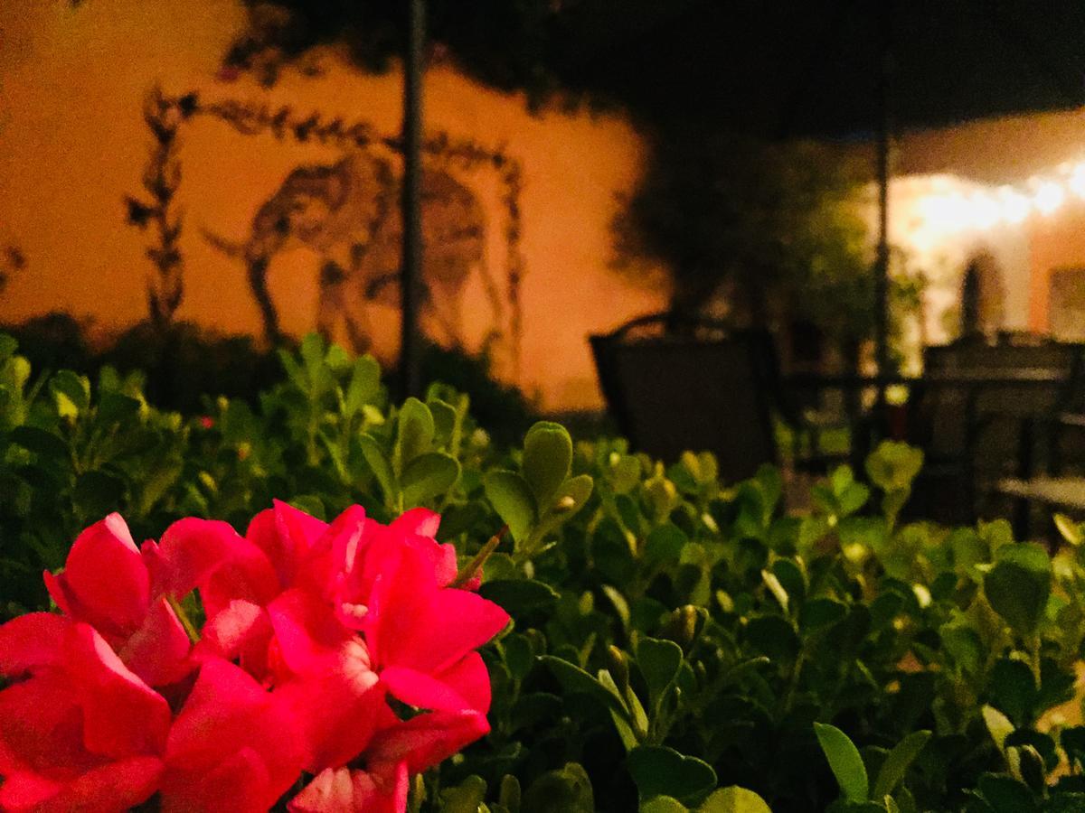 Casa Los Naranjos San Miguel de Allende Buitenkant foto