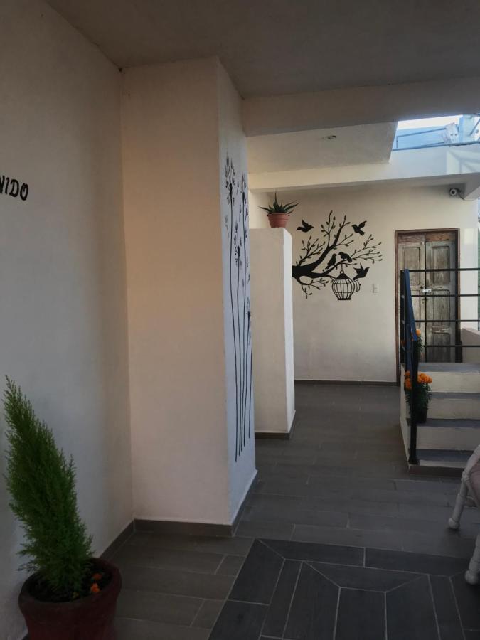 Casa Los Naranjos San Miguel de Allende Buitenkant foto
