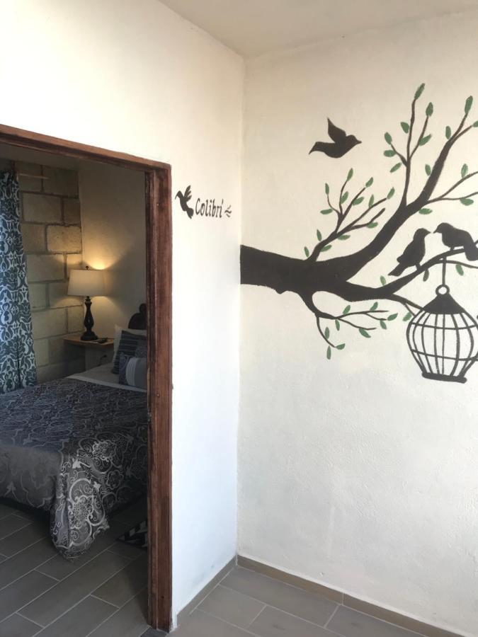 Casa Los Naranjos San Miguel de Allende Buitenkant foto
